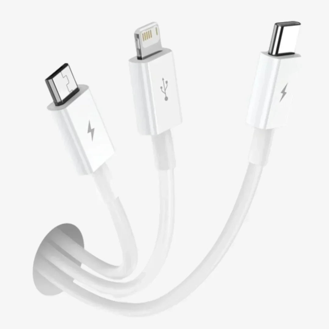 3 in 1 Data Cable - TaraRani